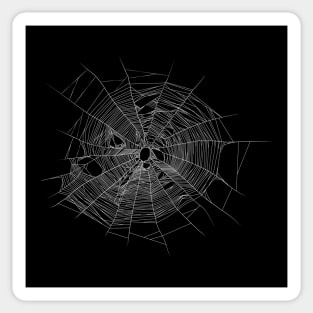 Spiders Web Sticker